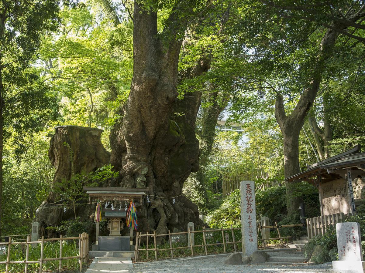 Tkp Lectore Atami Momoyama Экстерьер фото